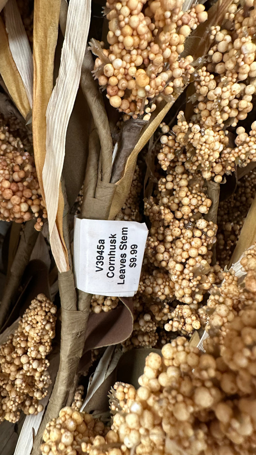 Corn Husk Leaves Stem
