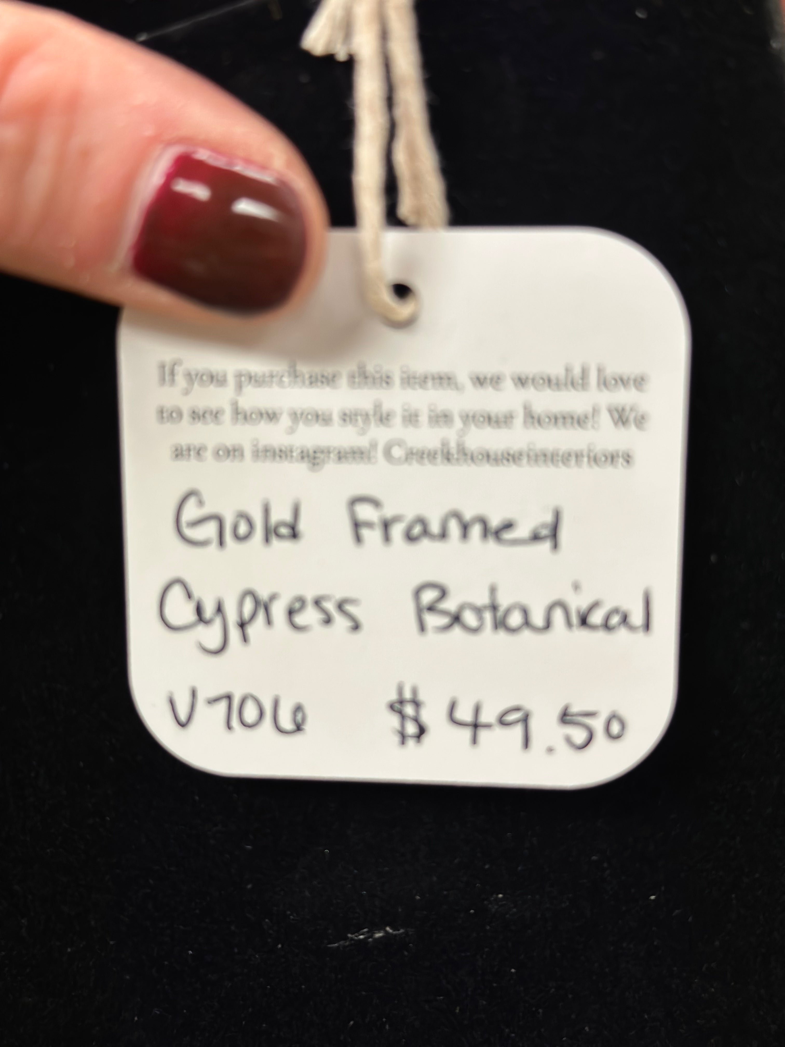 Gold Framed Cypress Botanical