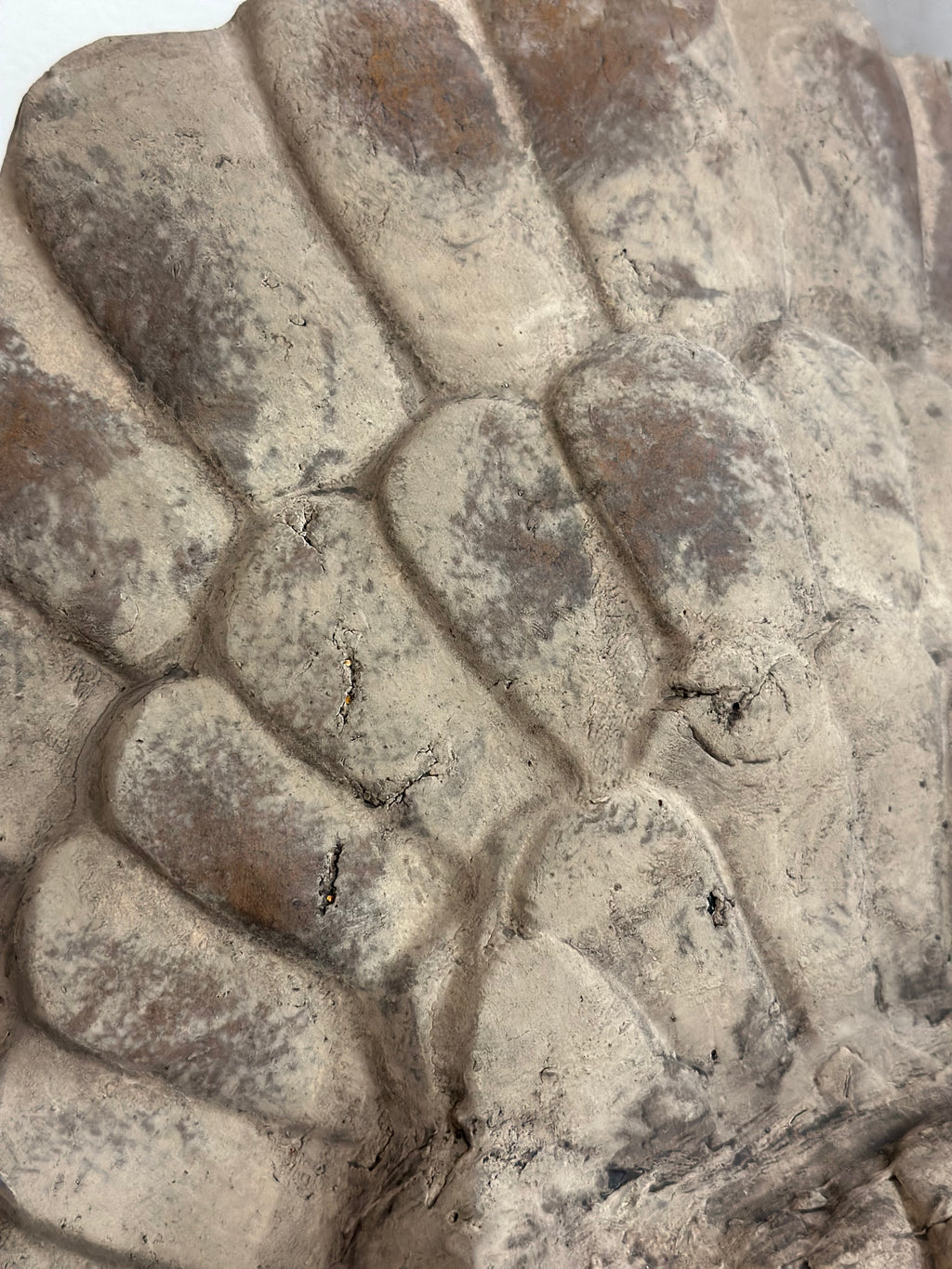 Concrete/Stone Turkey