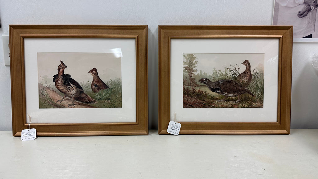 Custom Gold Framed Pheasants