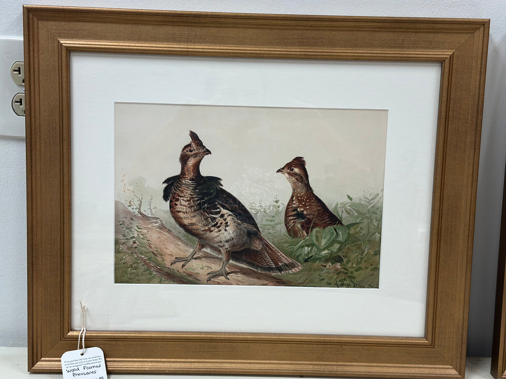 Custom Gold Framed Pheasants